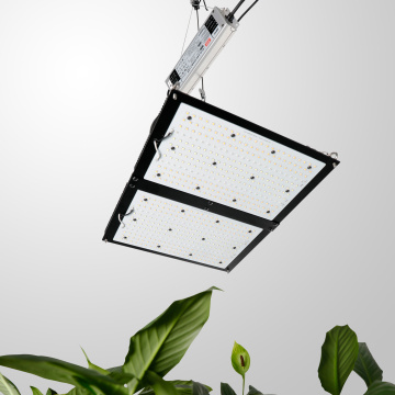 Phlizon 200W Led Quantum Board Grow Light