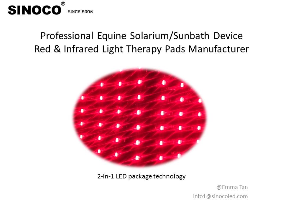5-Year Guarantee LED Full Body Equine Solarium Device for Horses Horse Sunbath with Red Light Therapy Bar Light for Pets