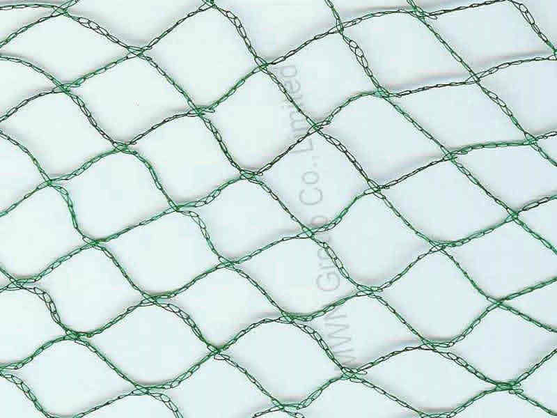 BIRD NET BIRD NET