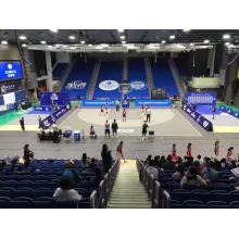 carreaux de terrain de basket-ball ses