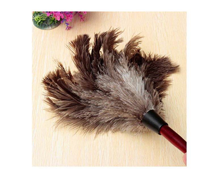 23" Ostrich Feather Duster with Wooden Handle