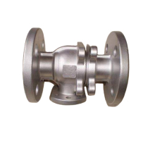 casting iron valve body