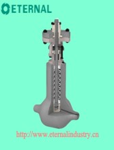 Bellows Seal for Nuclear Power Generation