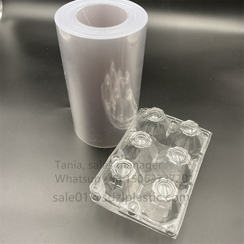 Transparent Pet Egg Tray Container Box