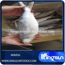 ice block machines for milkfish storage (BM1-100T)