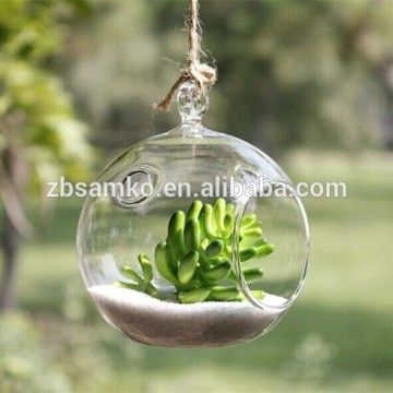 Glass globe hanging terrarium
