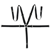 5 Point Racing Seatbelt Harness