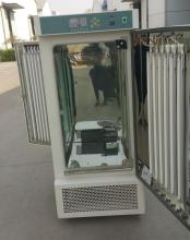 Laboratory use Lighting Incubator