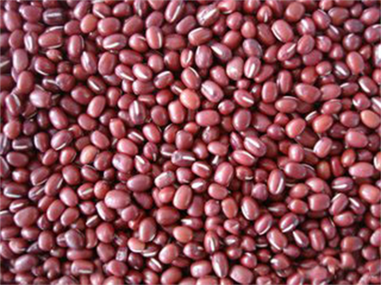 Multi-function hydroponic growing systems greenhouse