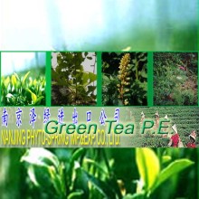 B101 Green Tea P. E.