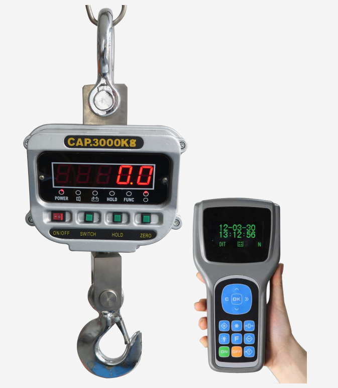 Wilress hanging scale