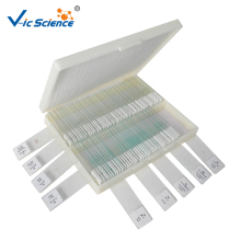 Lab Educational Slides For College Student