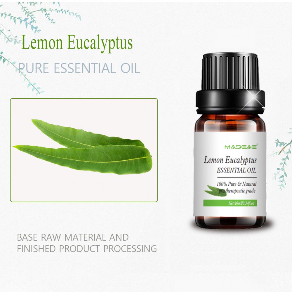 Minyak wewangian minyak larut lemon eucalyptus minyak esensi