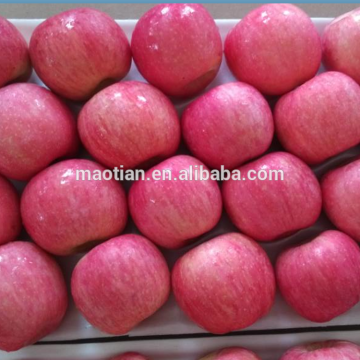 Apple Fuji Rosy blush for Indonesia