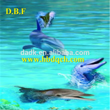 3D dolphin graphics art floor