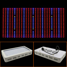 Hot Selling UL Listed Plant Grow LED Lighting