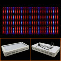 LED Grow Lights for Plant Factory City Farming