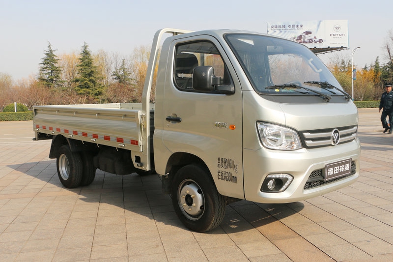 Foton Dump Truck 3