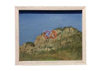 Unique Framed Handpainted oil Painting On Canvas , oil land