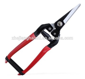 Sharp shears for cutting fruit