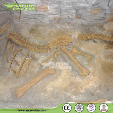 Excavation Dinosaur Skeleton Fossil Replicas