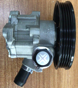 LEOPAARD Kingbox 7079974141 CA240132 Power Steering Pump