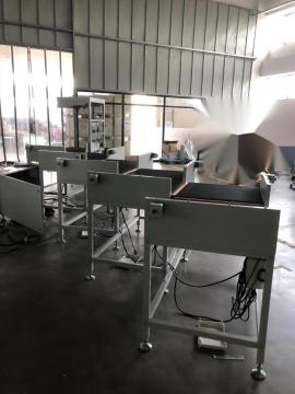 E-commerce Parcels Sorting Machine