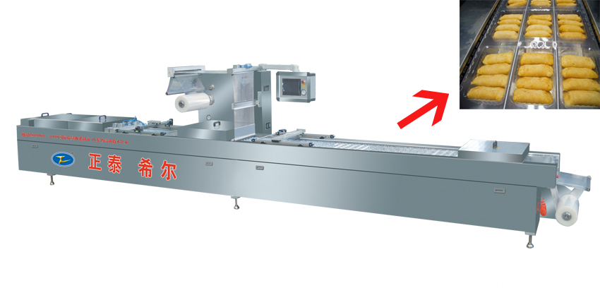 Continuous Stretch Film Vacuum Sealer