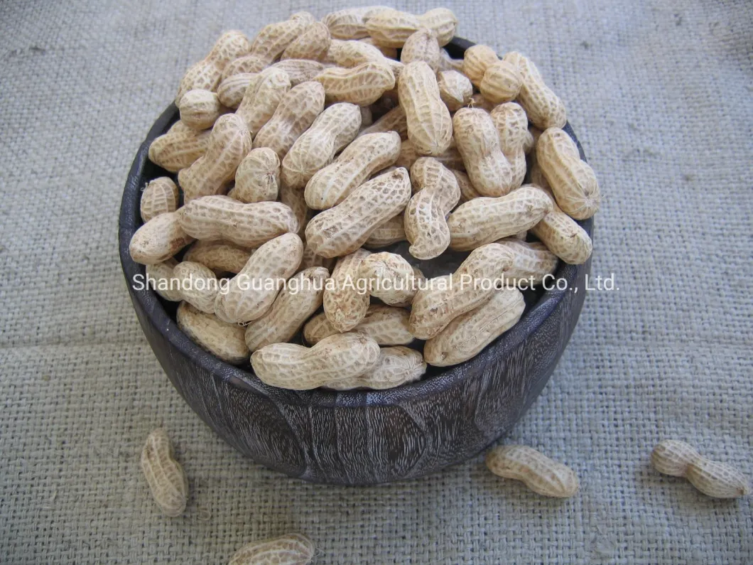 Roasted Chinese Origin Groundnut Good Quality Bulk Price