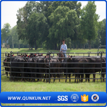 Brand deer fence/sheep goat fence