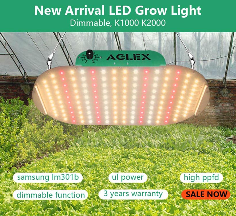 Vertikal jordbruksbelysning LED Grow Light 1000 watt