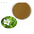 supply Freeze dried Aloe vera extract powder