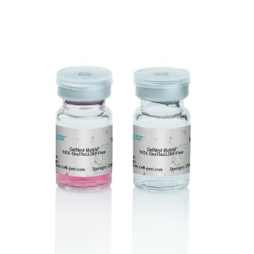 GelNest? Matrix membrane matrix