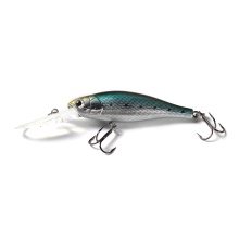 Versatile Hard Plastic Fishing Lures - New Craftsmanship Minnow Baits for Fishing