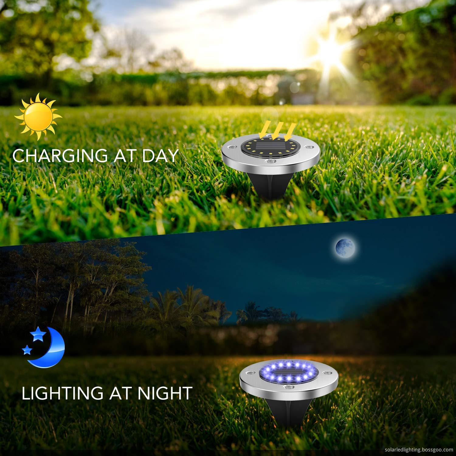 Solar Powered Walkway Light 