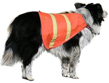 Dog vest life vest reflective safety vest