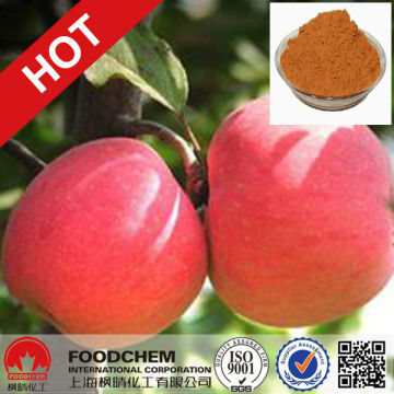 Anti-oxidant Apple Extract Phlorizin