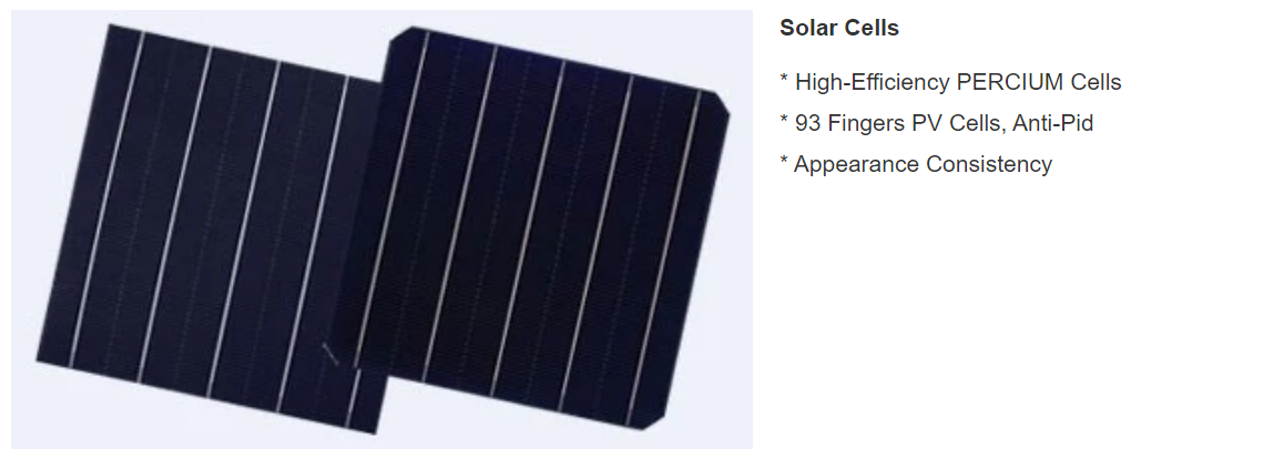 PV Module Polycrystalline