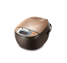 2021 Timing appointment 220V 4L rice cookers