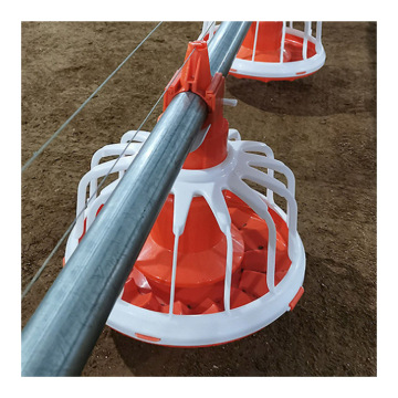 Big Herdsman Broiler Pan Feeding Equipment for Chicken Houses