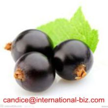 Blackcurrant Extract