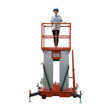 Double Mast Man Lift price/for Sale