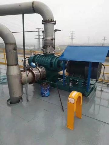 Special Gas Conveying Roots Blower