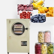 Home Use Small Mini Laboratory Vacuum Freeze Drying Equipment - Food Freeze Dryer