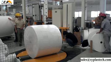 Automatic single roll wrapping machine
