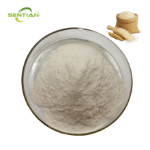 High Purity Plant Based Rice Protein Isolate Extract