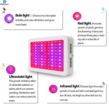 Luces de cultivo LED de espectro completo para plantas de interior