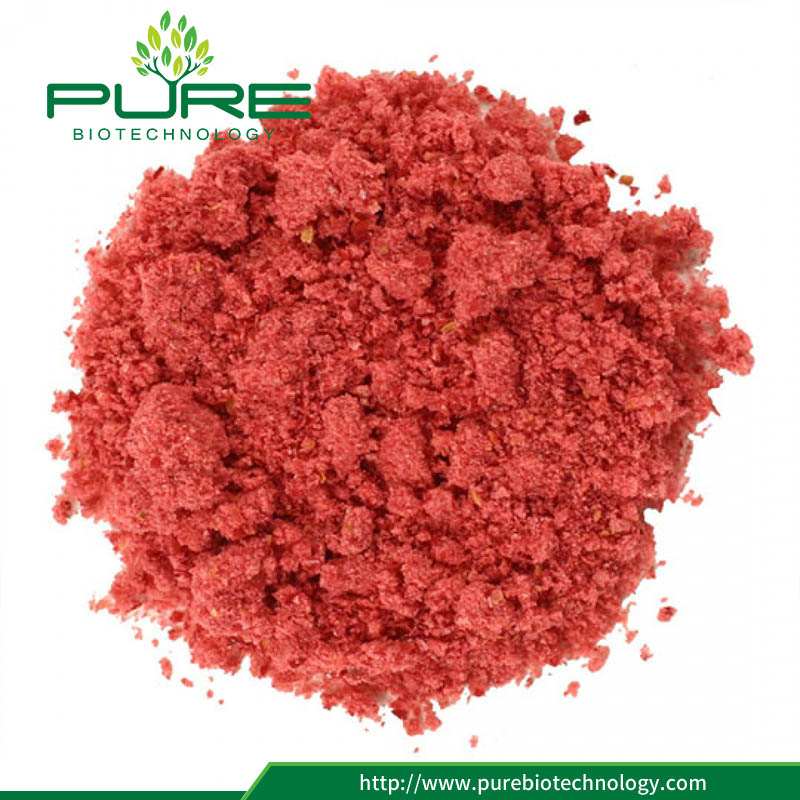 Polvere di mirtillo liofilizzato Freeze Dried Cranberry Powder