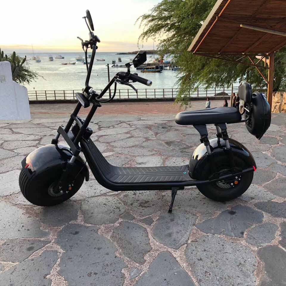 citycoco accessories citycoco 2 ruote scooter electric