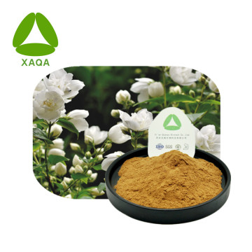 Suplemento alimentar Jasmim Flower Extract Powder